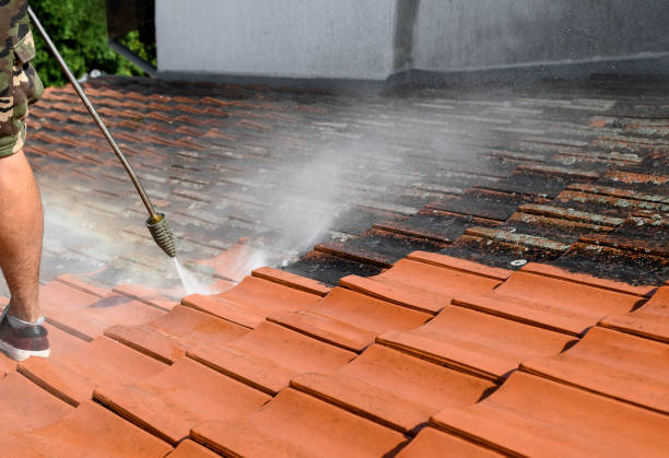 Best Best Pressure Washing Companies  in Newport, DE